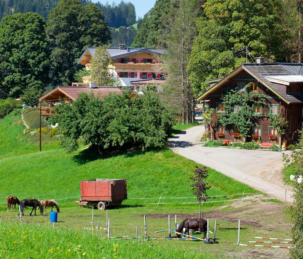Hotel Zauchtaler Hof Altenmarkt im Pongau Esterno foto